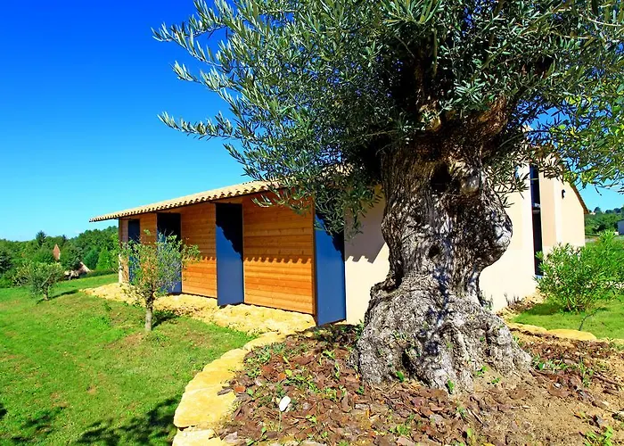 The Originals City, Albizia, Hotel 2*